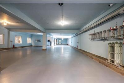 Vanzare vila P+E RENOVATA 2021| Sebastian-Calea Rahovei - 9