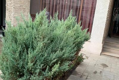 Spațiu comercial, de 137 mp, în Gara - 18