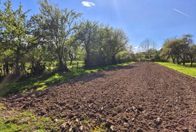 Comision 0 %/ Teren intravilan Sercaita 2247 mp Comision 0 %/ Teren intravilan Sercaita 2247 mp - 10