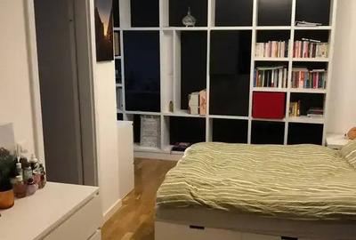 Apartament cu 3 camere decomandat în Parcul Carol - 17