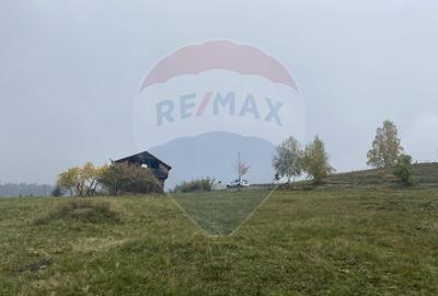 Teren Construcții intravilan de 8119 mp, în Călățele - 22