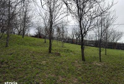 Teren de 1518 mp, în Șotrile - 13