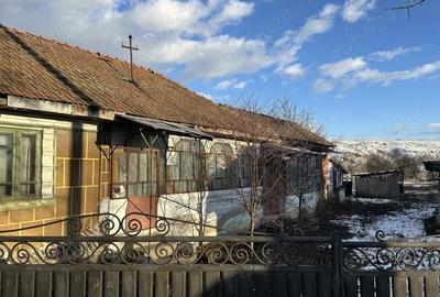 Casă în Priseaca - 1