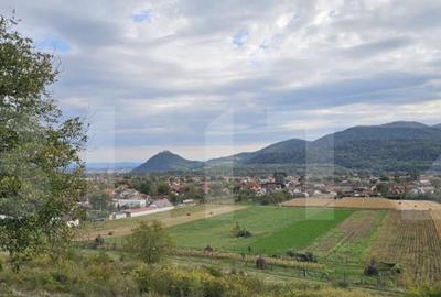 Vila la ro?u, 240 mp, teren 93.000 mp - ?oimu? - 1