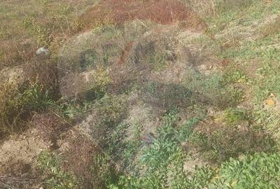 Teren intravilan de vanzare in Hidiselul de Jos, jud.Bihor - 9