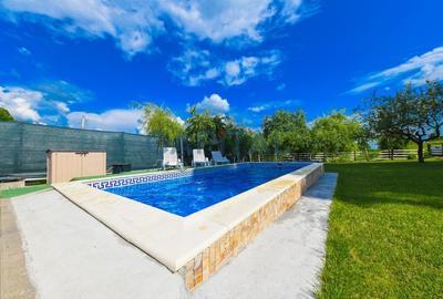 Afacere la cheie, zona Feleac, Comision 0! Afacere la cheie, zona Feleac, Comision 0! - 36