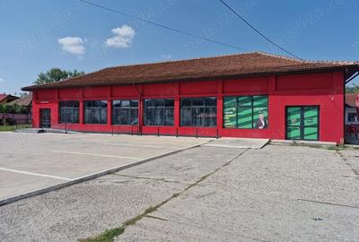 Spațiu comercial, de 530 mp, în Lacurile - 8
