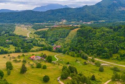 Teren Parcul National Bucegi/Str Glajarie Rau Mare/Panicel/Sohodol - 2