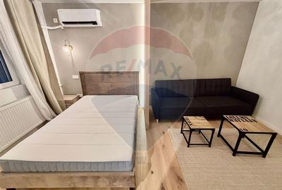 Apartament cu 1 camere decomandat, mobilat în Banu Manta - 2
