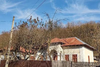 Casă cu Teren 3845 Mp în Leordeni - 1
