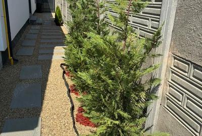 Casă cu 4 camere în Moșnița Veche - 3