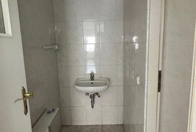 Spațiu comercial, de 700 mp, în Aradul Nou - 14