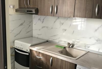 Garsoniera pat de mijloc Parc IOR 10 min M Grigorescu DB1248 - 3