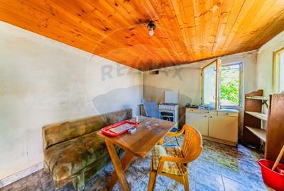 Casa cu 3 camere de vanzare in zona Gai, teren de 1249mp - 21