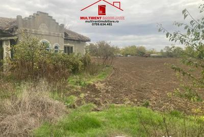 Casă cu 3 camere cu Teren 3895 Mp în Rândunica - 3