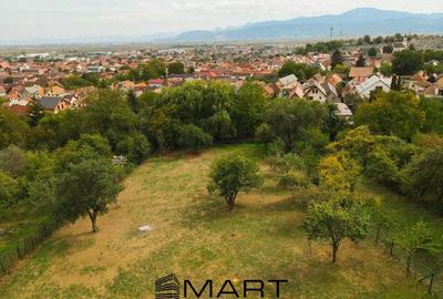 Teren Construcții intravilan de 924 mp, în Nord - 3