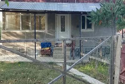 Casă cu Teren 6000 Mp în Viperești - 3