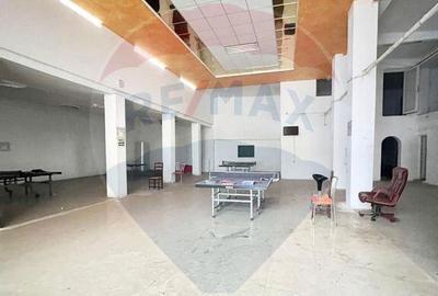 Spațiu comercial, de 501 mp, în Teiul Doamnei