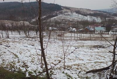 Teren Construcții intravilan de 704 mp, în Breazu - 5