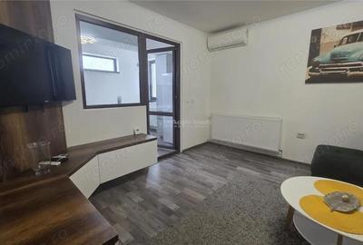 Apartament cu 2 camere semidecomandat în Calea Severinului - 9