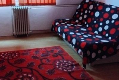 Garsoniera zona Uzina 2 - 3