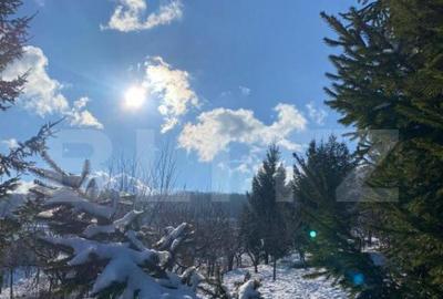 Teren de 1100 mp, în Central