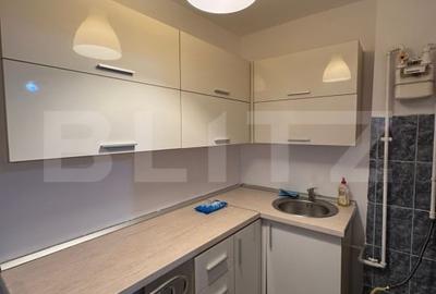 Garsoniera, 24mp, Zona Teiul Doamnei - 1