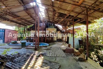 Casă cu 2 camere în Criș - 16