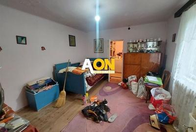 Casa Ciugud Toate Utilitatile cu Teren 3000MP - 10