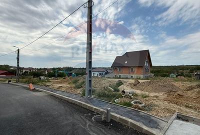 Teren de vanzare 632 mp zona Dealuri Oradea, Strada Arinului - 5