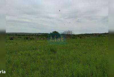 Spațiu comercial, în Sopor - 1