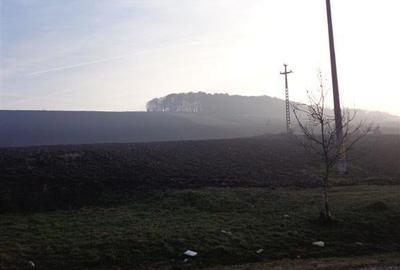 Teren de 29300 mp, în Livezeni - 4