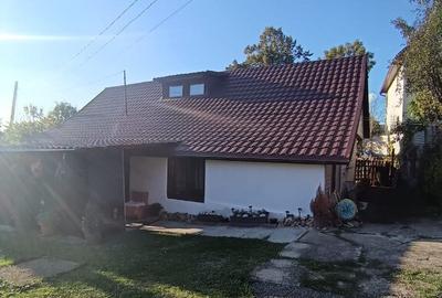 Valea Borcutului, casa 23 ari teren - 7