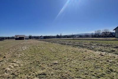 Teren de 60000 mp, în Exterior Vest - 7