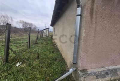 Casă cu 2 camere cu Teren 2685 Mp în Tăut - 2