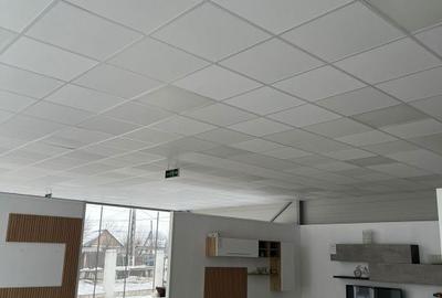 Spațiu comercial, de 460 mp, în Galicea Mare - 2