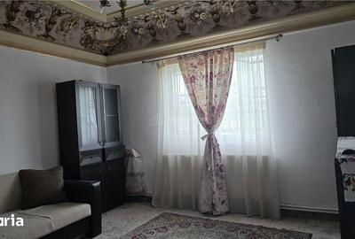 Casă cu 10 camere cu Teren 1002 Mp în Bariera Vâlcii - 5