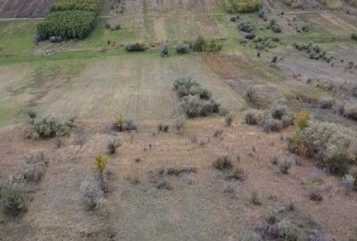 Teren extravilan Perieni, cota parte 6/16 , ID: R2822105 - 7