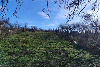 Casă cu 3 camere în Central - 10
