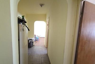 Teiul Doamnei - Parcul Tei Teiul Doamnei - Parcul Tei - 4