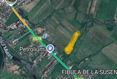 Teren de 30000 mp, în Central - 3