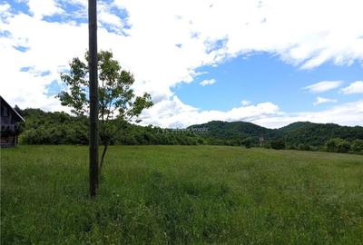 Borlovenii Noi, Teren Drept, 16000mp, la Limita Localitatii - 10