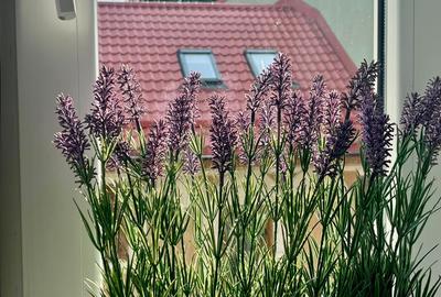 Apartament cu 2 camere semidecomandat în Calea Plevnei - 20