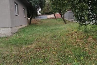 Casa de vanzare + teren 4700 m2 - 2