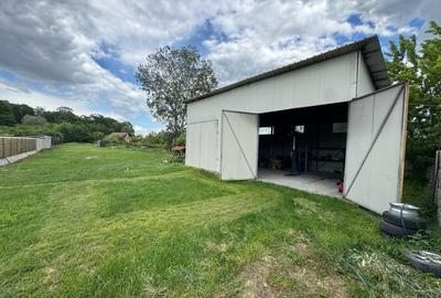 Hala 90mp, teren 300mp, zona Parcul Tineretului - 3