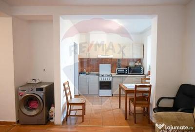 Apartament cu 2 camere decomandat în Nufărul - 11