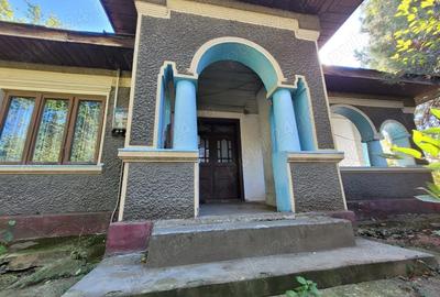 Casă cu 3 camere în Dridu - 4