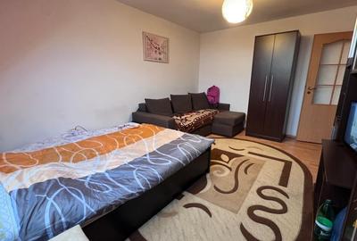 Apartament cu o camera de vanzare in zona Nufarul - Oradea - 2