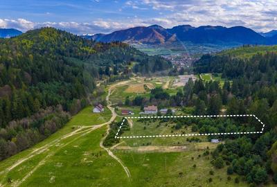 Teren Construcții intravilan de 10000 mp, în Brebina - 3