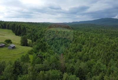 Teren Construcții intravilan de 8119 mp, în Călățele - 4